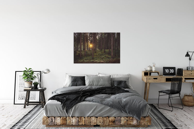 Wandbild - Oktoberwald - Ausrichtung_Quer Farbe_Grün Fotograf_Alexander Schönberg