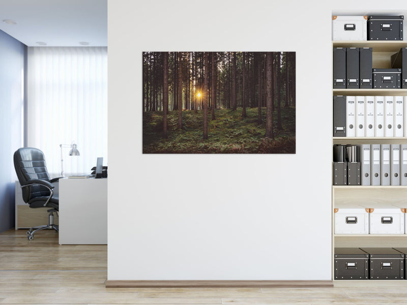Wandbild - Oktoberwald - Ausrichtung_Quer Farbe_Grün Fotograf_Alexander Schönberg