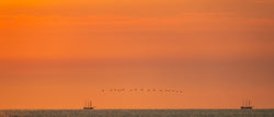 Wandbild - Sonnenuntergang am Meer - Ausrichtung_Panorama Ausrichtung_Quer Besonderes_Meer Besonderes_Sonnenuntergang Fotograf_Sebastian