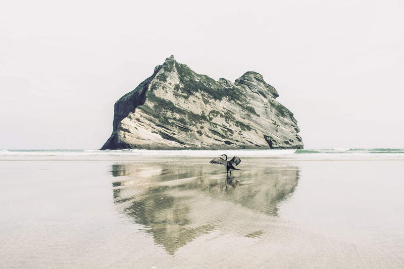 Wandbild - Wharariki Beach - Ausrichtung_Quer,Besonderes_Neuseeland,Fotograf_Florian Schleinig